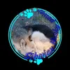 xodara03live