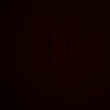 bolache.robert