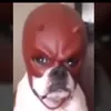 goreflix