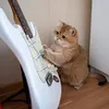 knows.all.the.chords