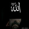 qalbi.wang71