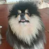thanh.tom123