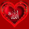 rachid.tibi7