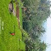 udin.rebok2
