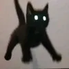 misspigeon11