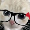 pinmumu83