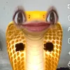 nwnmffg_