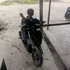 salmann_farizii