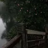 kittyiuanhtu_202