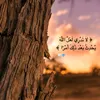 user1206108107544