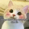 ng.ae.ko0