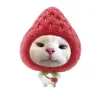 mochi20140