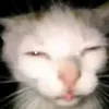 sam.charli1