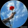 sadaf.khan.105