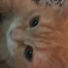 hello._3124