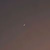 hananeh_578
