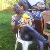 king.of.prussia08