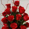 user54226173263027