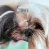 zoemaria_thor