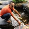 dwi.julianto3921