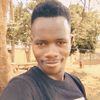 user4375219342441