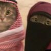 https_tanha