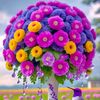 taher.hussain04