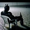 antonicaal2