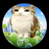 sigma_dunkin