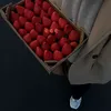 nano89763