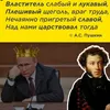 user5419861884153