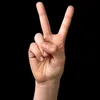 rayan.jawad10