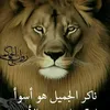 hasni.hossam0