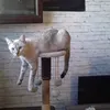 saluttoutlemonde