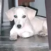 edriangil7
