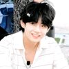 user6081480301978
