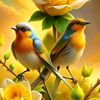 yosof0518