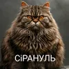 pipa_tech