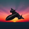 sr71_black_bird