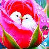 asad.bhatti.jia.ba