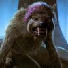 laspatasdepaws_2