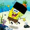caplin.tiktok