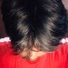 sad446384