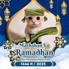 vxi.x.ramadhan