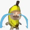 thcshiephoa0