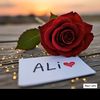 ali716337