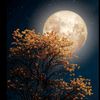 luna_words