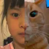 tenshi.mclle2