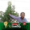 user7709605021460