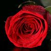 s.raihan02